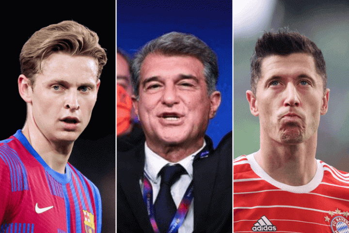 仅可以提供 仅可以提供